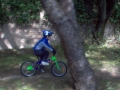 IM000581.JPG