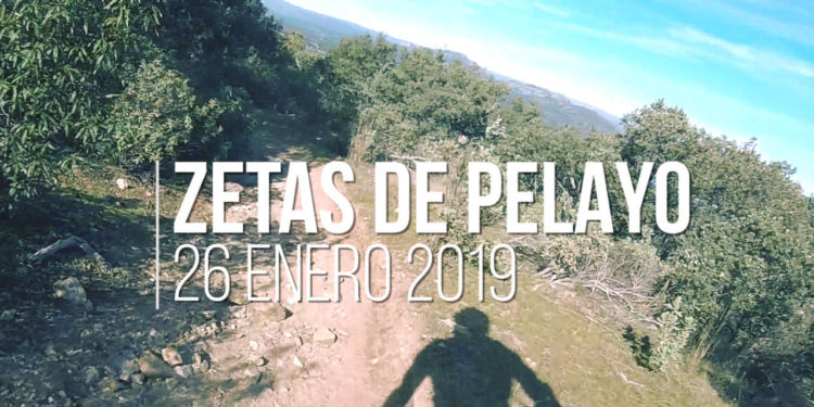 Zetas de Pelayo